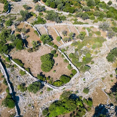 Angelina * Jakisnica