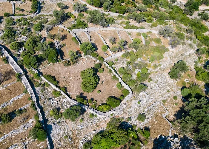 Angelina * Jakisnica